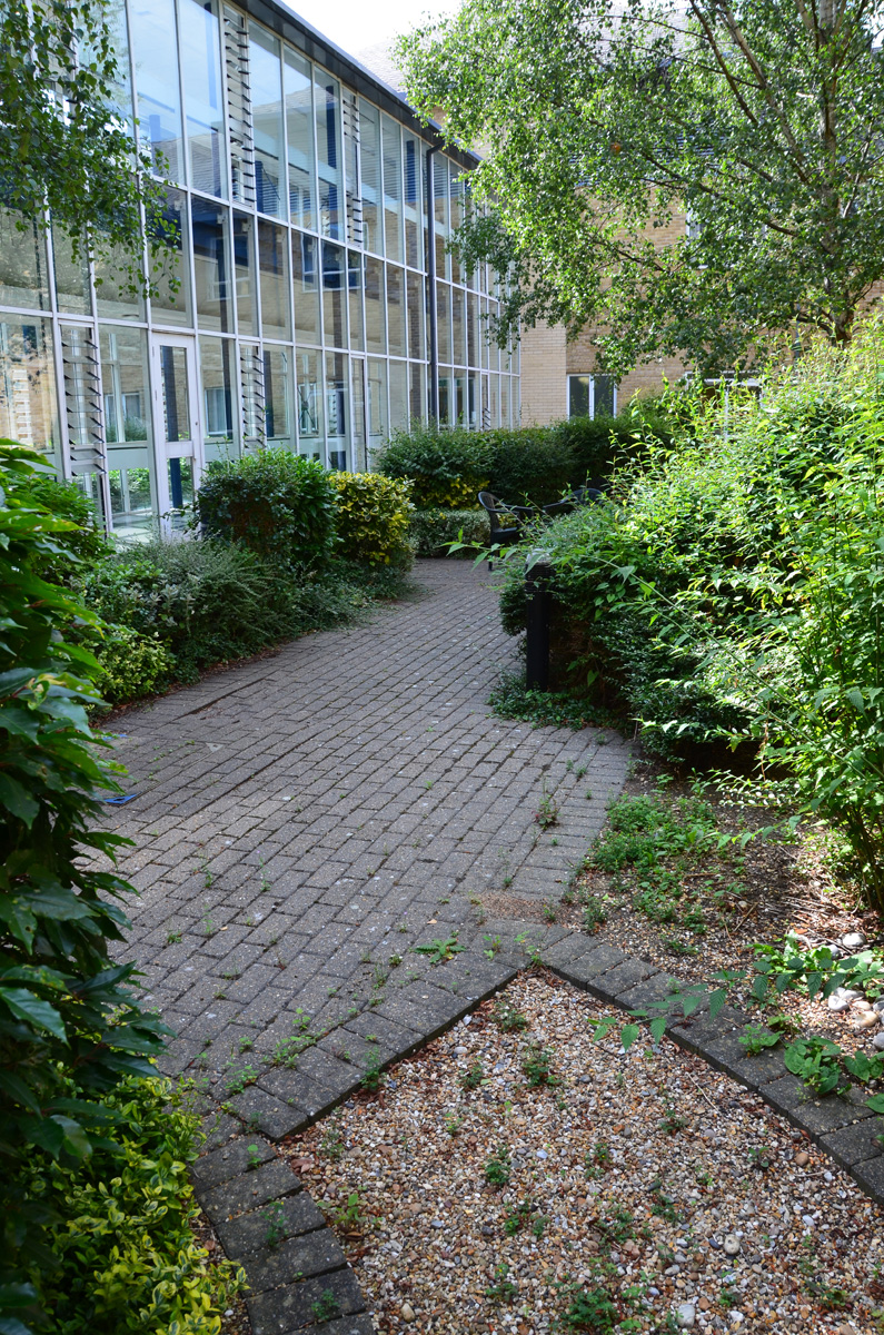 Garden at CFH prior to redevelopment